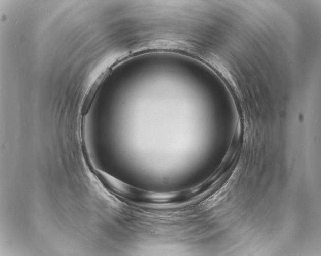 X0000089371342200706151149