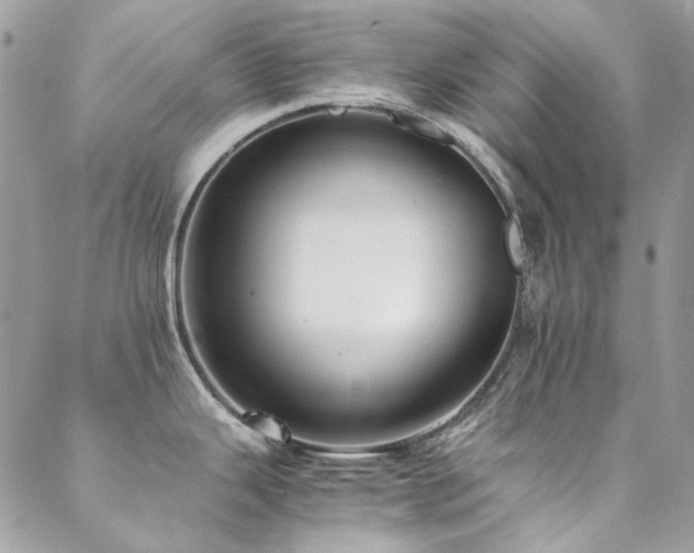 X0000089371343200706151149