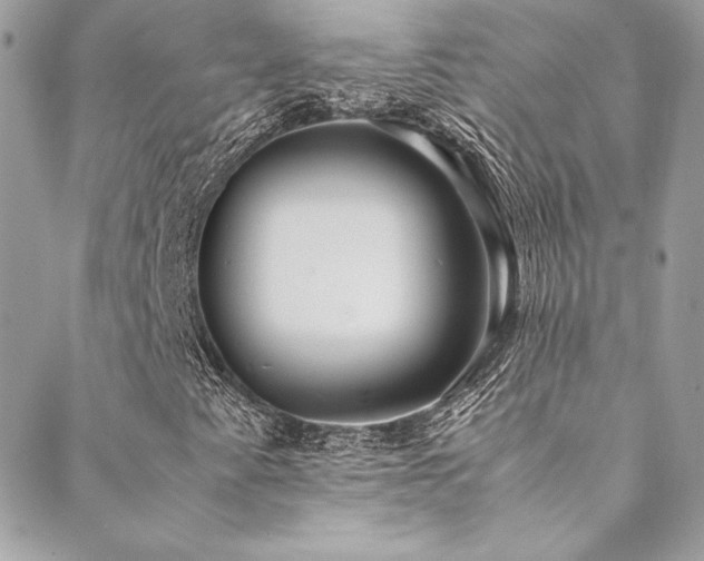 X0000089371345200706151148