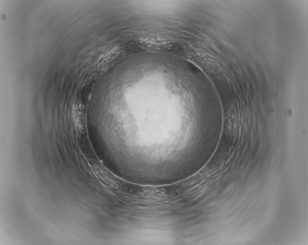 X0000089371346200706151148