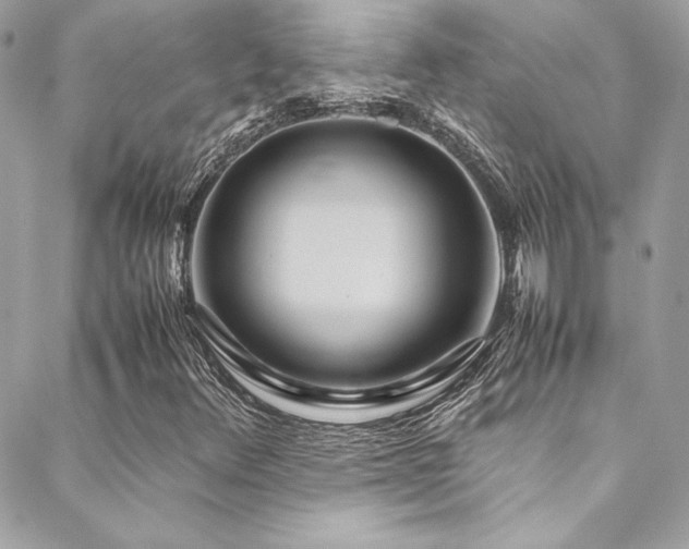 X0000089371348200706151148
