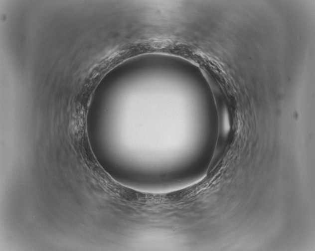 X0000089371349200706151148
