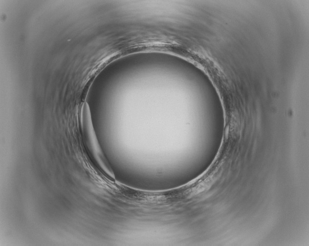 X0000089371353200706151148