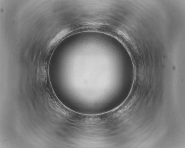 X0000089371354200706151148
