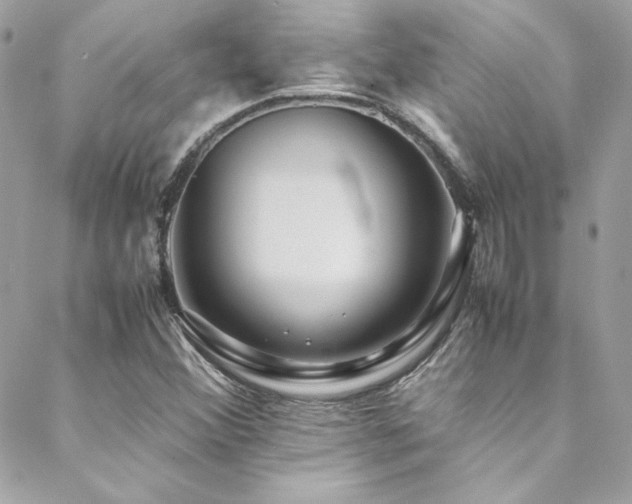 X0000089371356200706151148