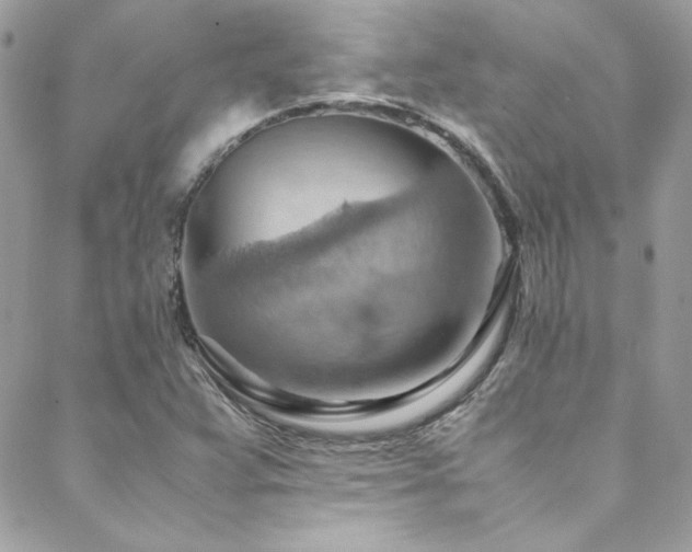 X0000089371359200706151148