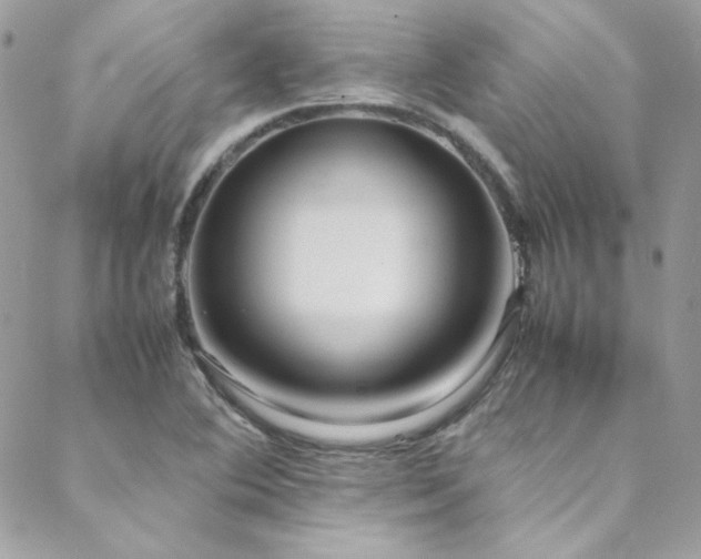 X0000089371364200706151148