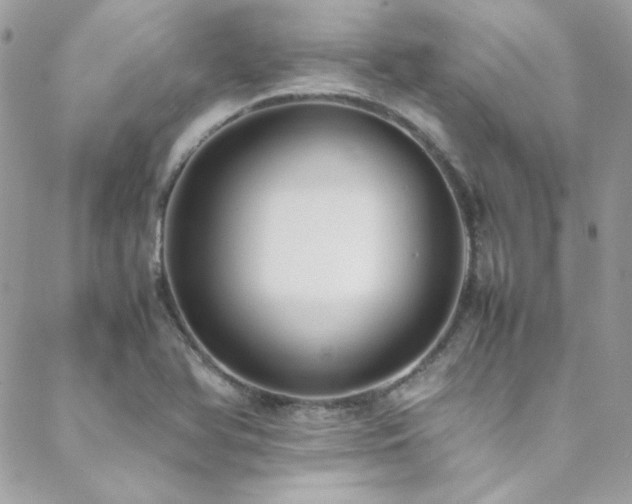 X0000089371366200706151148
