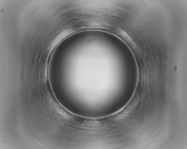 X0000089371370200706151148