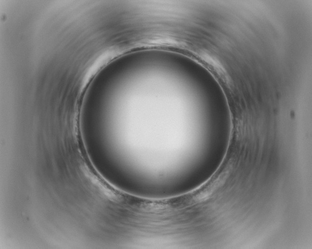 X0000089371374200706151148