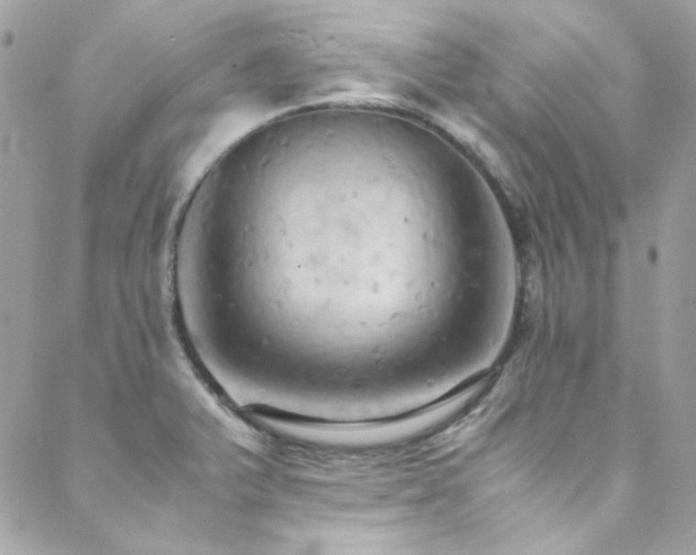 X0000089371375200706151148