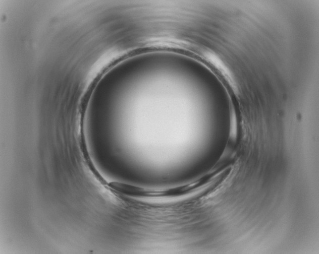 X0000089371376200706151148