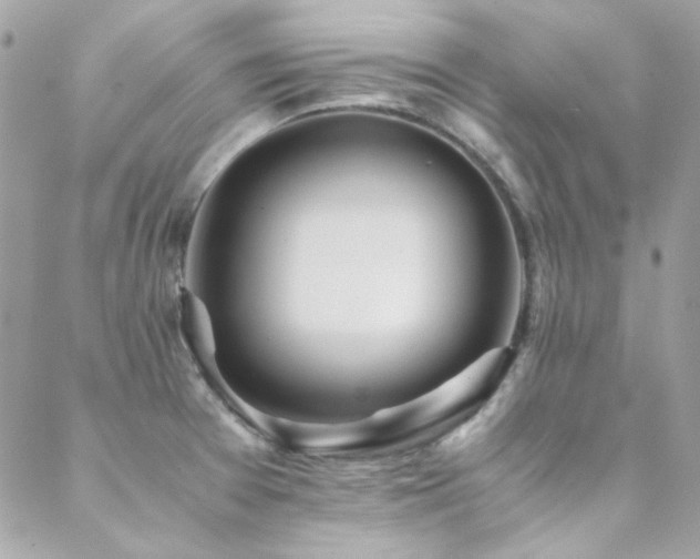 X0000089371377200706151148