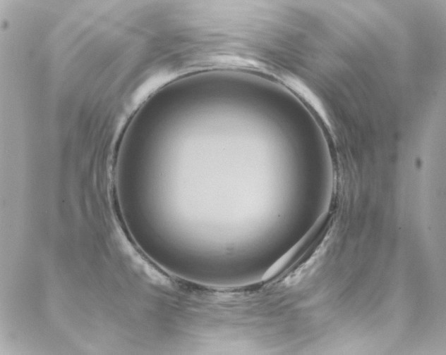 X0000089371381200706151148