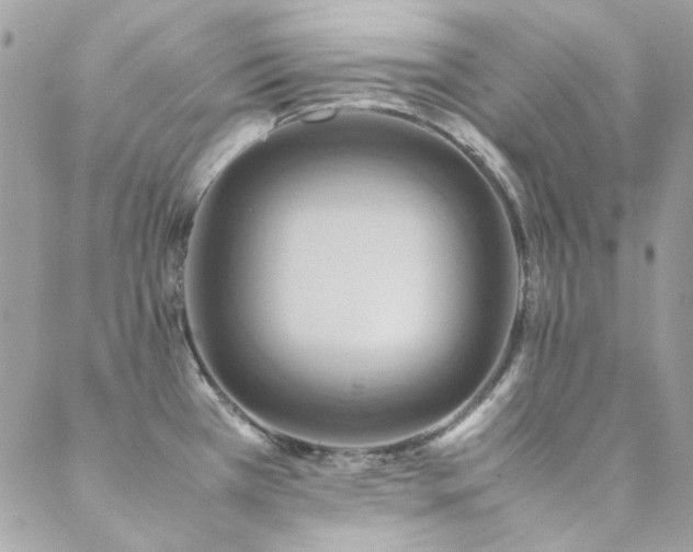 X0000089371385200706151148