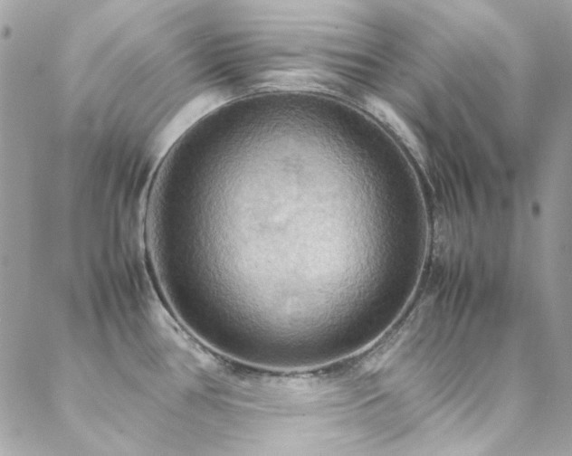 X0000089371386200706151148