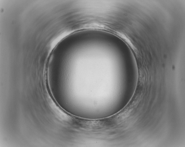 X0000089371387200706151148