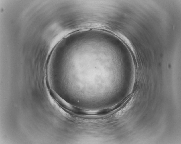 X0000089371389200706151148