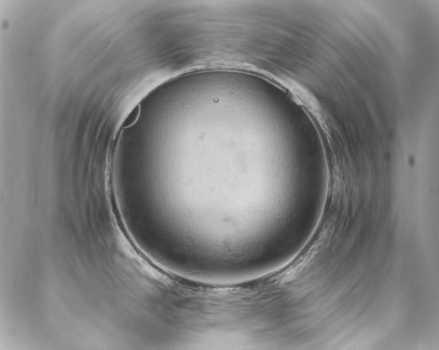 X0000089371390200706151148
