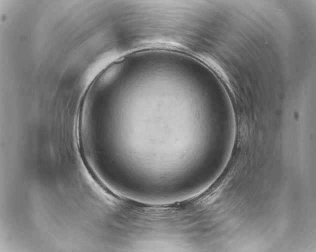 X0000089371391200706151148