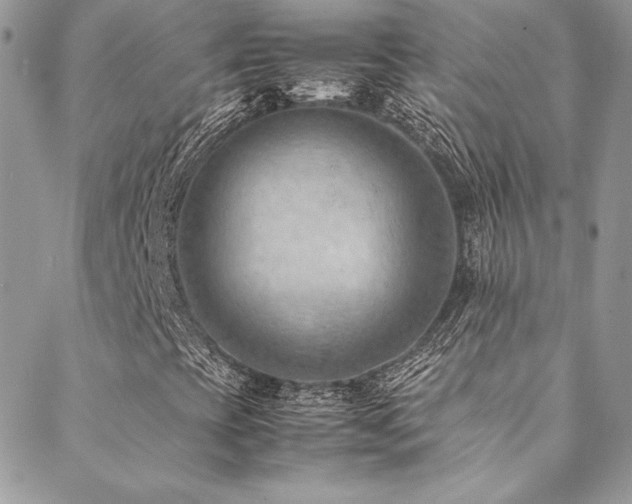 X0000089371393200706151147