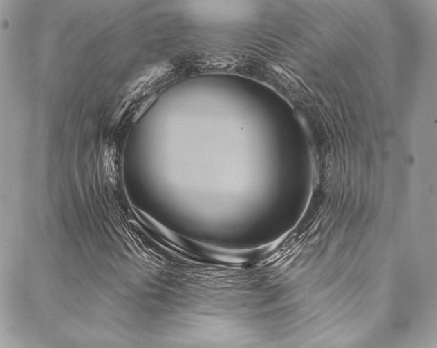 X0000089371394200706151147
