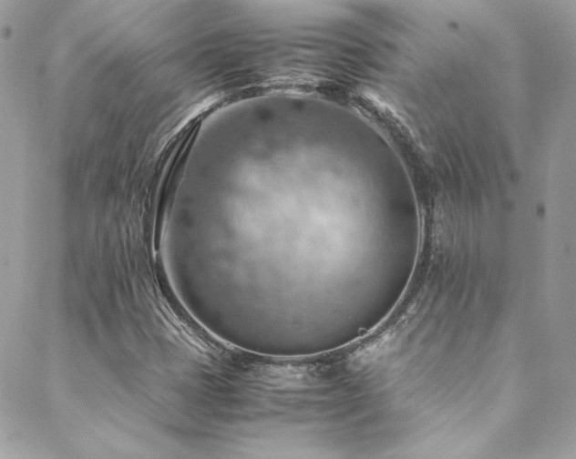 X0000089371401200706151147