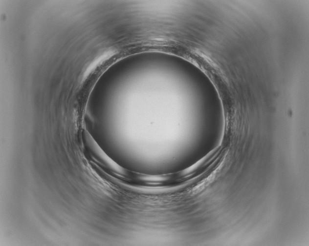 X0000089371402200706151147