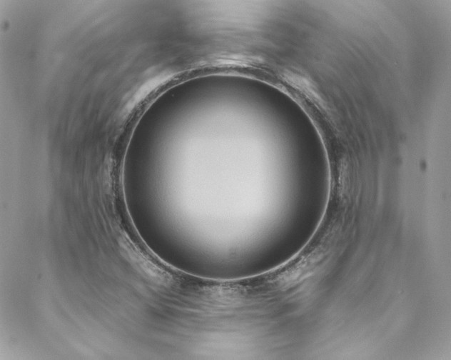 X0000089371404200706151147
