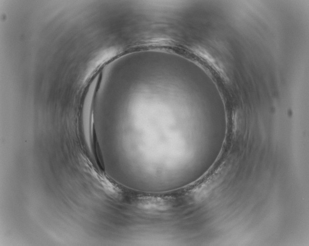X0000089371405200706151147