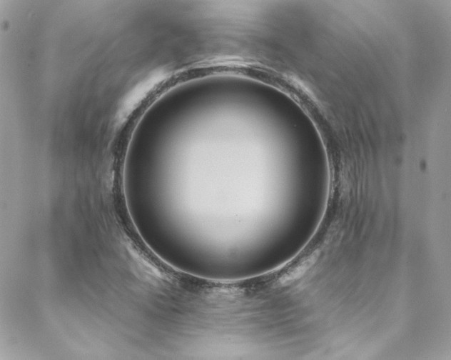 X0000089371406200706151147
