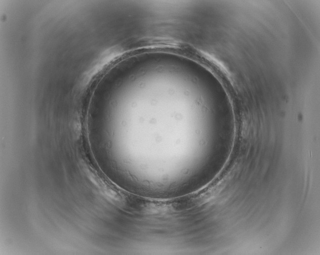 X0000089371407200706151147