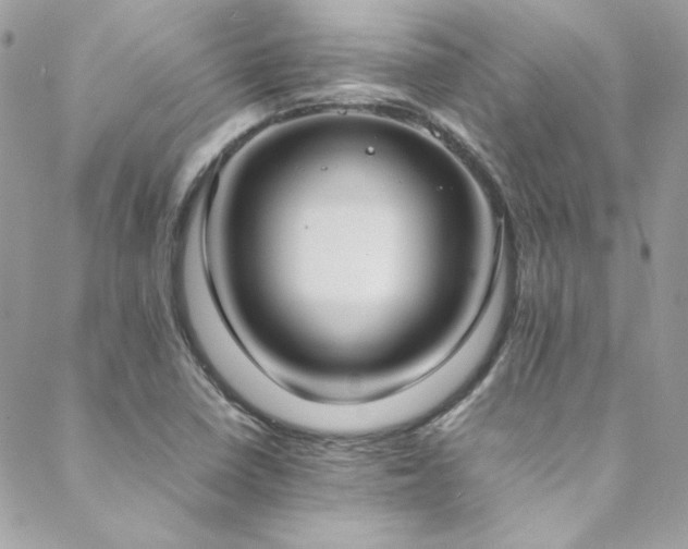 X0000089371410200706151147
