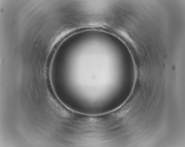 X0000089371412200706151147