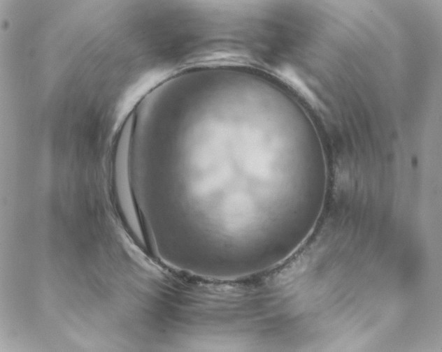 X0000089371413200706151147