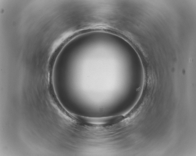 X0000089371414200706151147