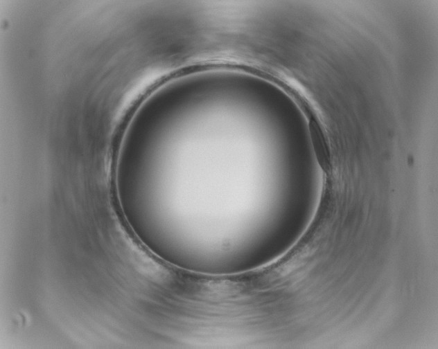 X0000089371416200706151147