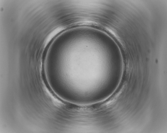 X0000089371418200706151147