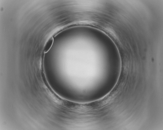 X0000089371420200706151147