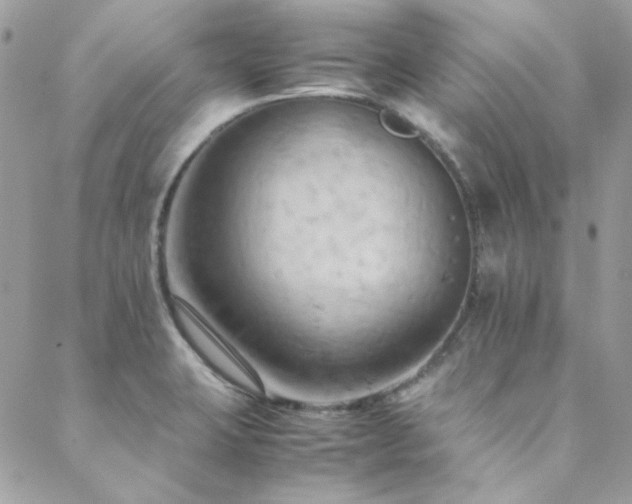 X0000089371423200706151147