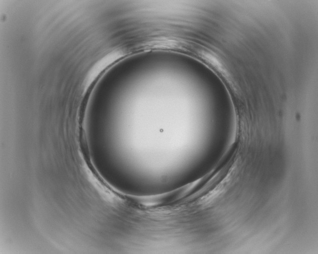 X0000089371426200706151147
