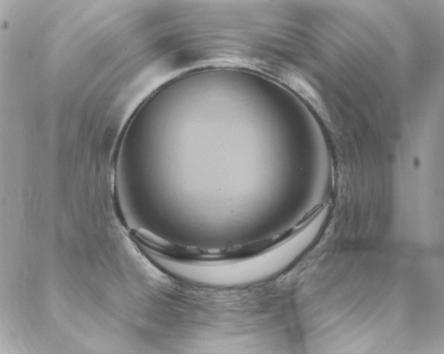 X0000089371428200706151147