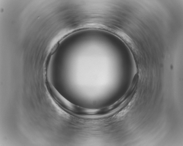 X0000089371430200706151147