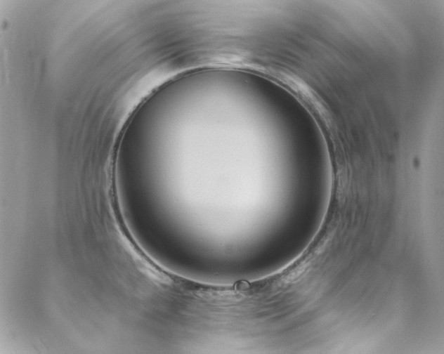 X0000089371432200706151147