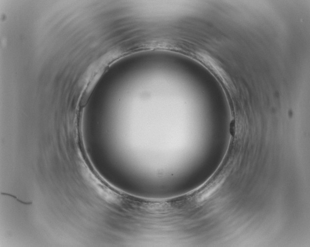 X0000089371434200706151147