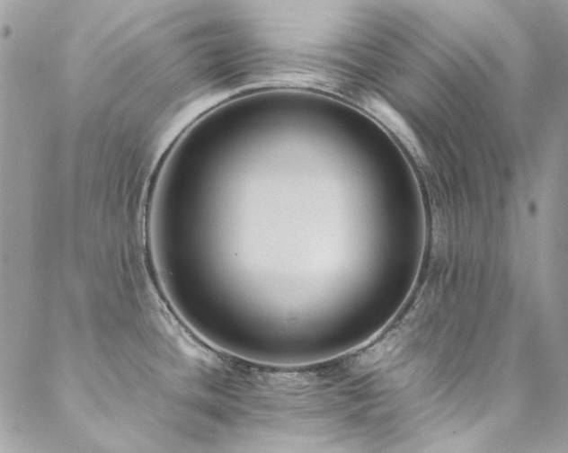 X0000089371436200706151147