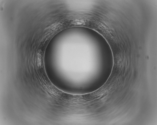 X0000089371442200706151147