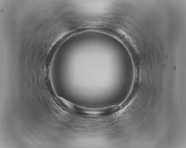 X0000089371449200706151147