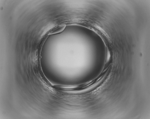 X0000089371450200706151147
