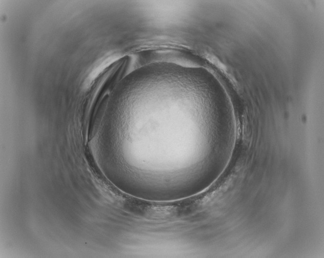 X0000089371453200706151147